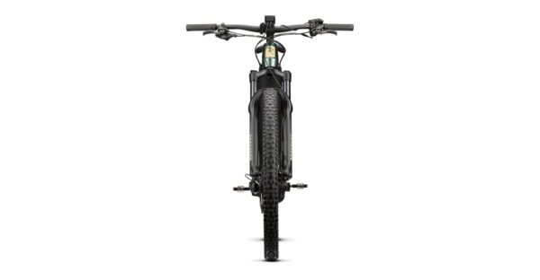 Radon Jealous Hybrid 9.0 750 – Bild 3