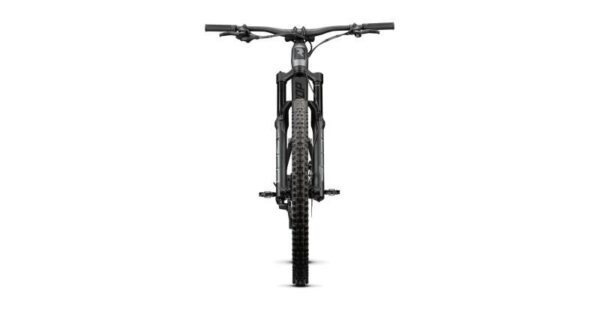 Radon SWOOP 10.0 – Bild 2