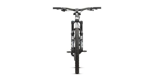 Radon SWOOP AL 9.0 – Bild 2