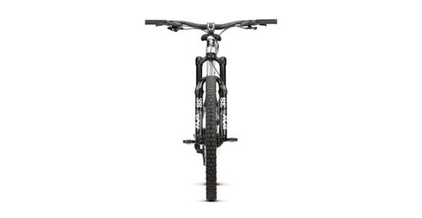 Radon SWOOP AL 9.0 – Bild 2